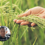 petani