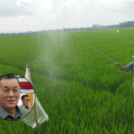petani