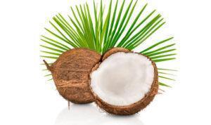 Daging kelapa (Dok. iStock)