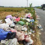 Foto : Tumpukan Sampah di Jalan Raya Jakenan-Winong, Dekat Sawah Desa Serutsadang Kecamatan Winong. Senin (03/06). (Sumber. palevioletred-jellyfish-458835.hostingersite.com/Ilham)