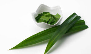 Daun pandan