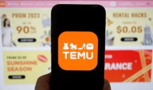 Aplikasi Temu (Dok. Istimewa)