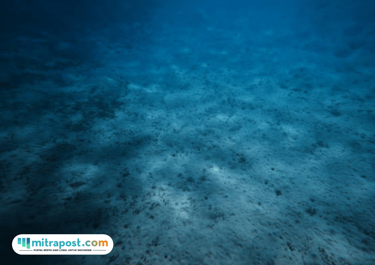pasir laut