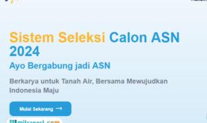 Pendaftar CPNS
