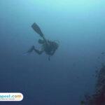 Wisatawan Korsel Tewas
