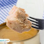 ikan tuna