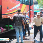 Ilustrasi bus mudik gratis (palevioletred-jellyfish-458835.hostingersite.com/ Kafi)