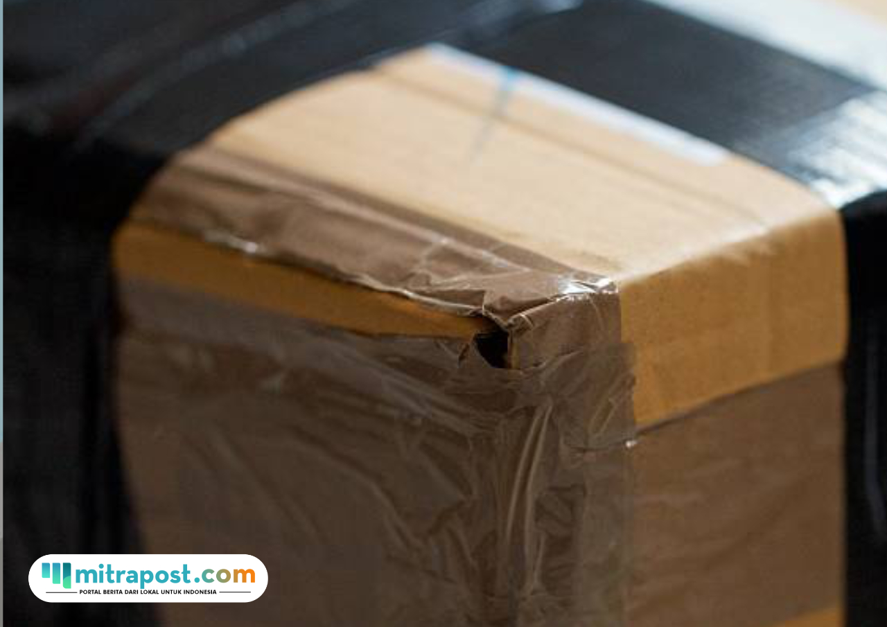 Ilustrasi paket berisi kepala babi/istock