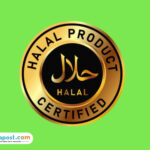 Ilustrasi sertifikat halal/istock