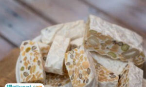 fermentasi