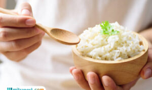 nasi putih