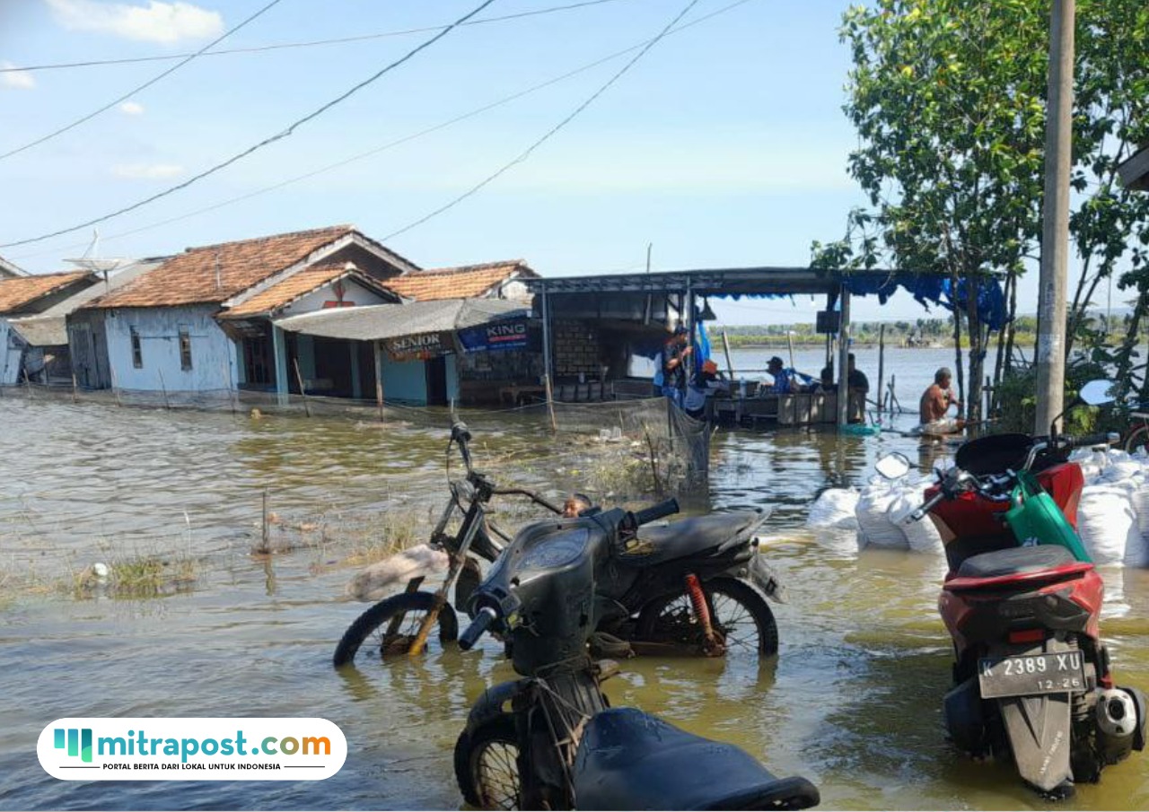 Foto : Kondisi banjir rob di Desa Tunggulsari Kecamatan Tayu, Jumat (30/05/2025). (Dok. Pemerintah Desa Tunggulsari)