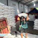 Foto: gudang yang di sewa Bulog Pati dalam menampung gabah dan beras hasil panen dari petani (palevioletred-jellyfish-458835.hostingersite.com/ Bulog Pati)