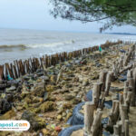 Ilustrasi wilayah pesisir/istock