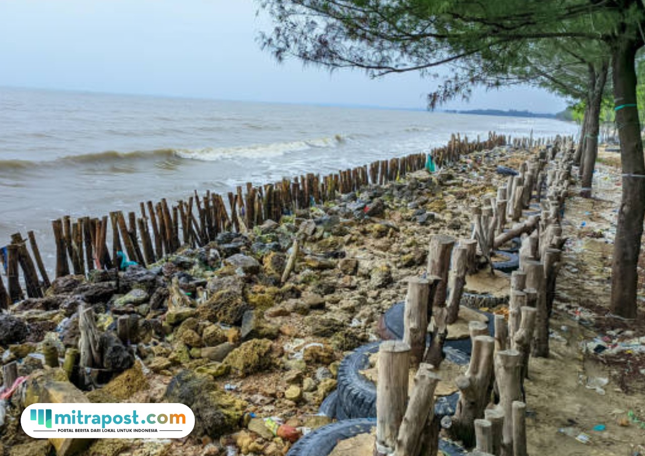Ilustrasi wilayah pesisir/istock