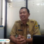 kelapa kopyor