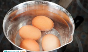 Berapa Jumlah Kalori dalam Telur?