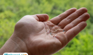 Foto: potret mikroplastik (sumber: istock)