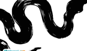 Foto: Ilustrasi Ular Weling (sumber: istock)