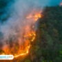 Ilustrasi kebakaran hutan dan lahan/istock