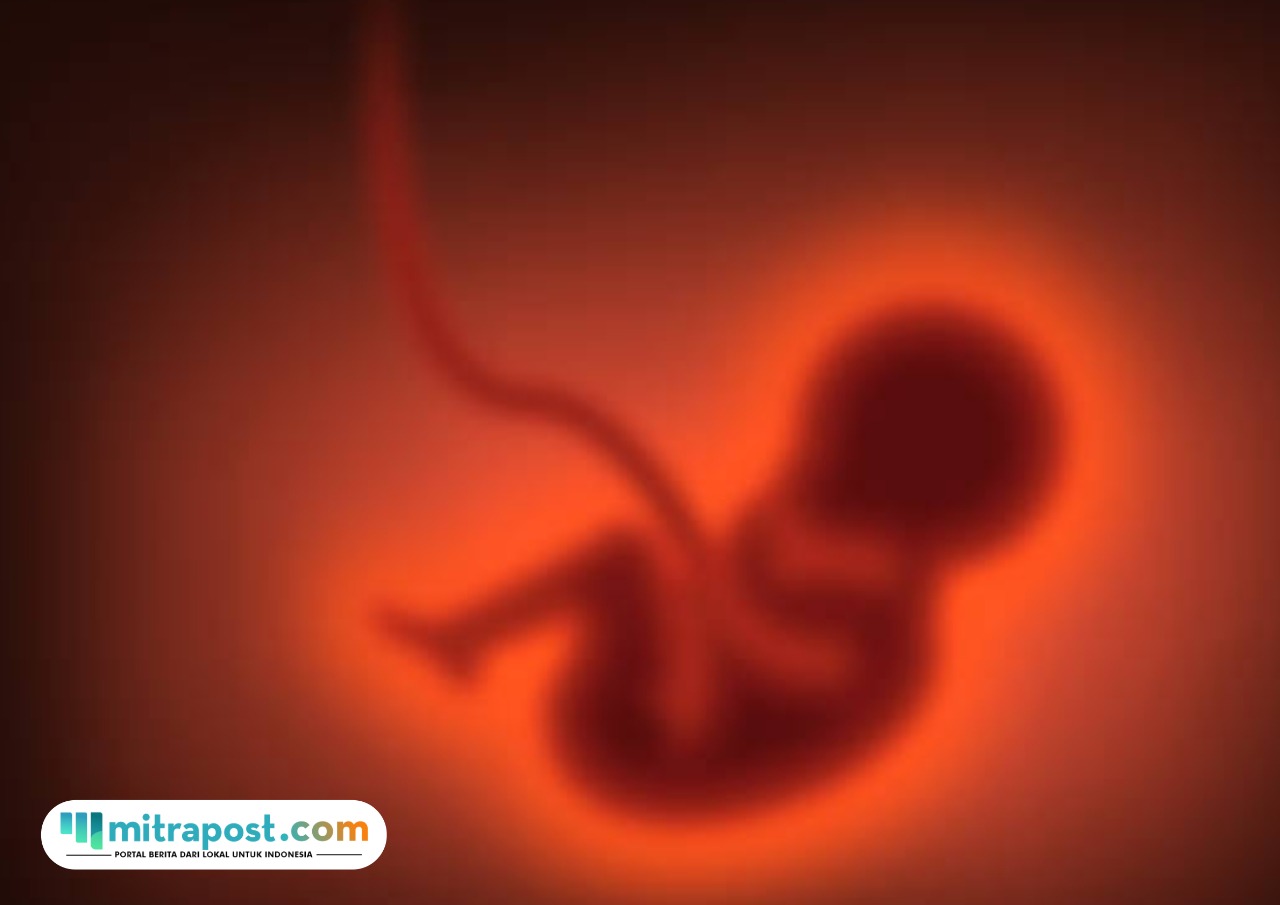 Ilustrasi janin /istock