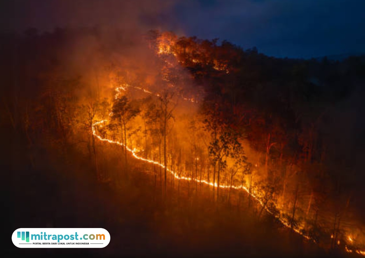 Ilustrasi kebakaran lahan/istock