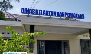 Foto: Kantor DKP Kabupaten Pati (palevioletred-jellyfish-458835.hostingersite.com/ Kafi)