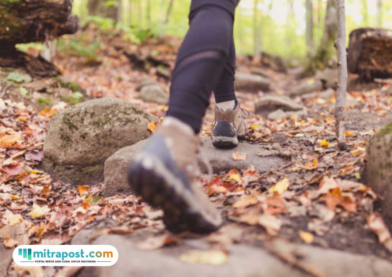 Dua Pendaki Ibu-Anak yang Tersesat di Gunung Batukaru Ditemukan Selamat